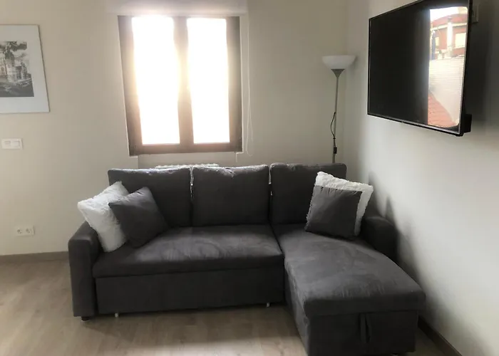 Precioso Piso En Catedral Muralla Con Wifi * 莱昂